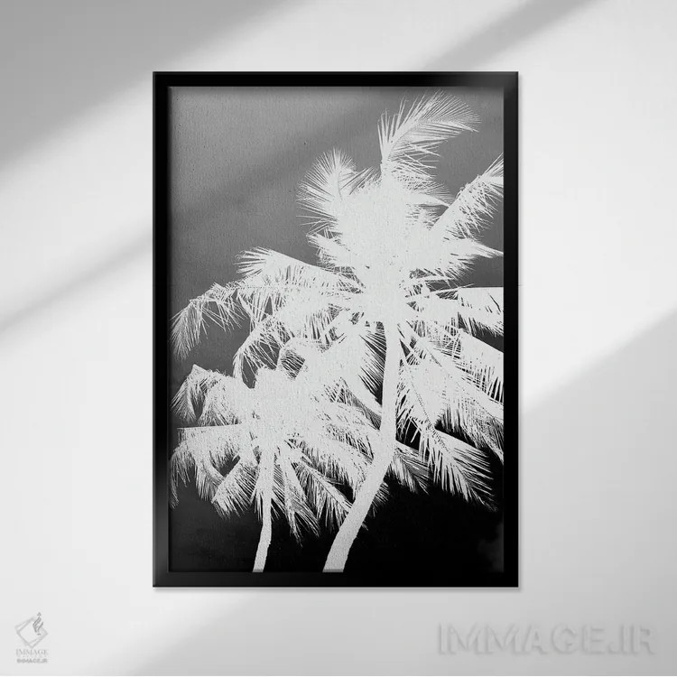 تابلو دکوراتیو جزیره کوکو ۱ اثر عکس های کلینت - نمای قابدار مشکی