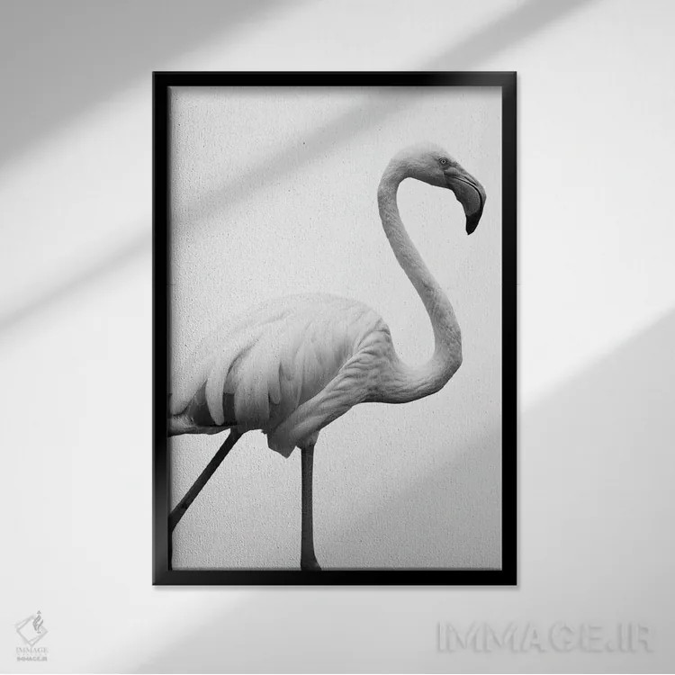 تابلو دکوراتیو رقاص اثر عکس های کلینت - نمای قابدار مشکی