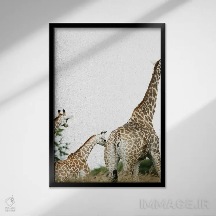 تابلو دکوراتیو فام دم اثر عکس های کلینت - نمای قابدار مشکی