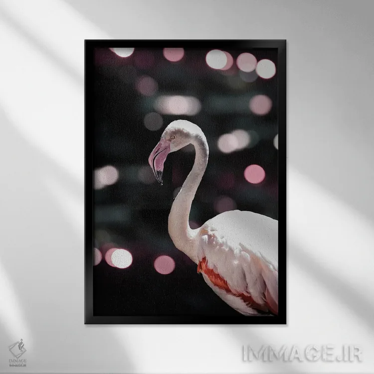 تابلو دکوراتیو فلامینگو دیسکویی اثر عکس های کلینت - نمای قابدار مشکی