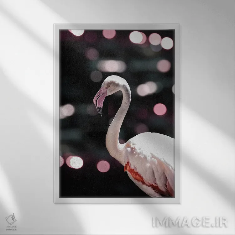 تابلو دکوراتیو فلامینگو دیسکویی اثر عکس های کلینت - نمای قابدار سفید