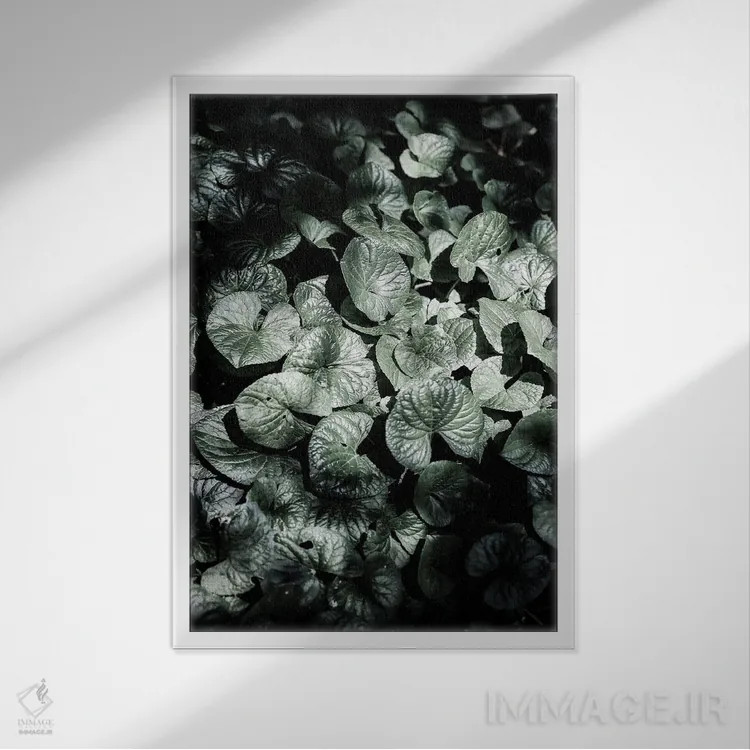 تابلو دکوراتیو کف جنگل اثر عکس های کلینت - نمای قابدار سفید