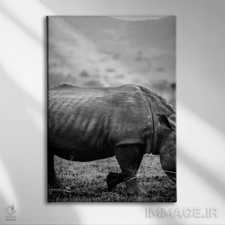 تابلو دکوراتیو کرگدن سیاه اثر عکس های کلینت - نمای روبهرو روی دیوار