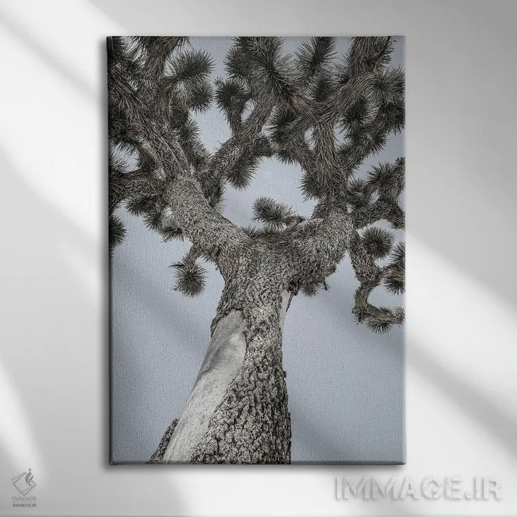 تابلو دکوراتیو جاشوا اثر عکس های کلینت - نمای روبهرو روی دیوار