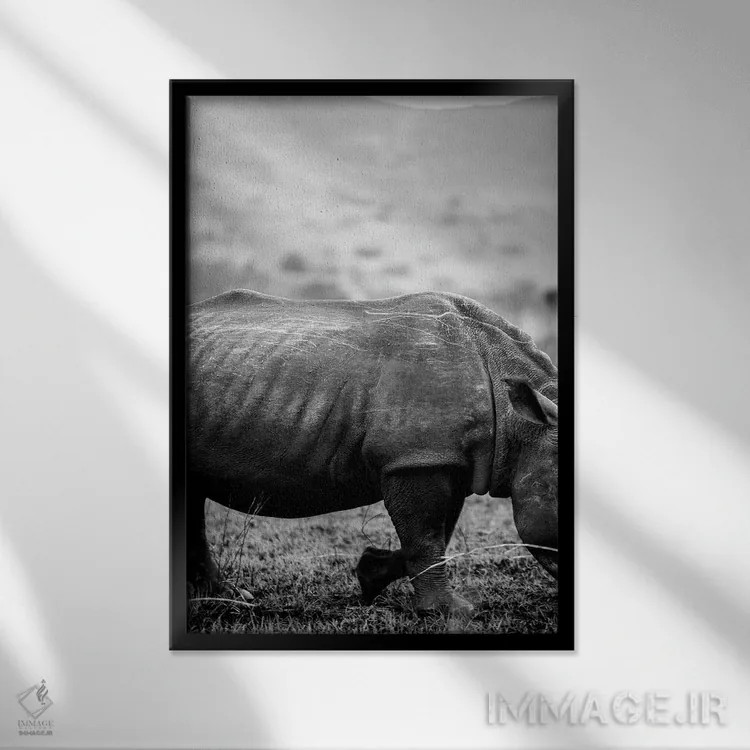 تابلو دکوراتیو کرگدن سیاه اثر عکس های کلینت - نمای قابدار مشکی