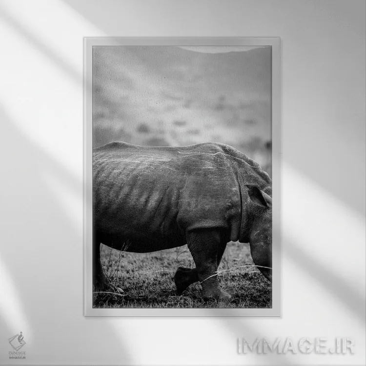 تابلو دکوراتیو کرگدن سیاه اثر عکس های کلینت - نمای قابدار سفید