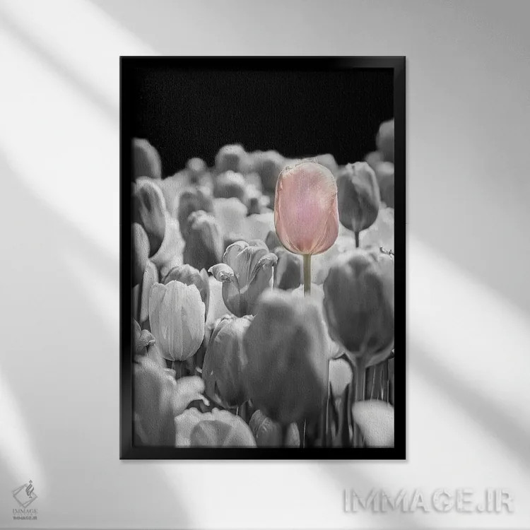 تابلو دکوراتیو لاله ای که جدا ایستاده بود اثر بث شریدن - نمای قابدار مشکی