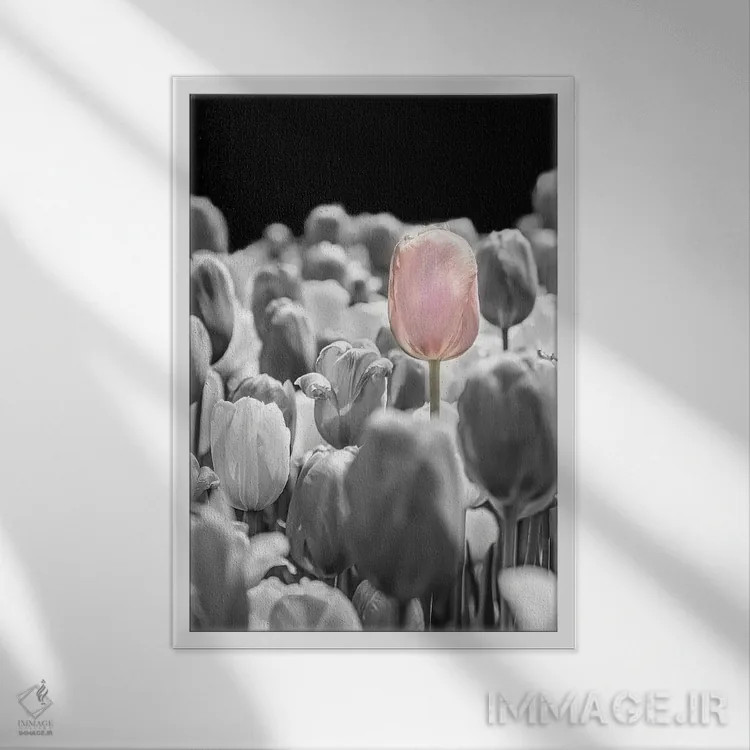 تابلو دکوراتیو لاله ای که جدا ایستاده بود اثر بث شریدن - نمای قابدار سفید