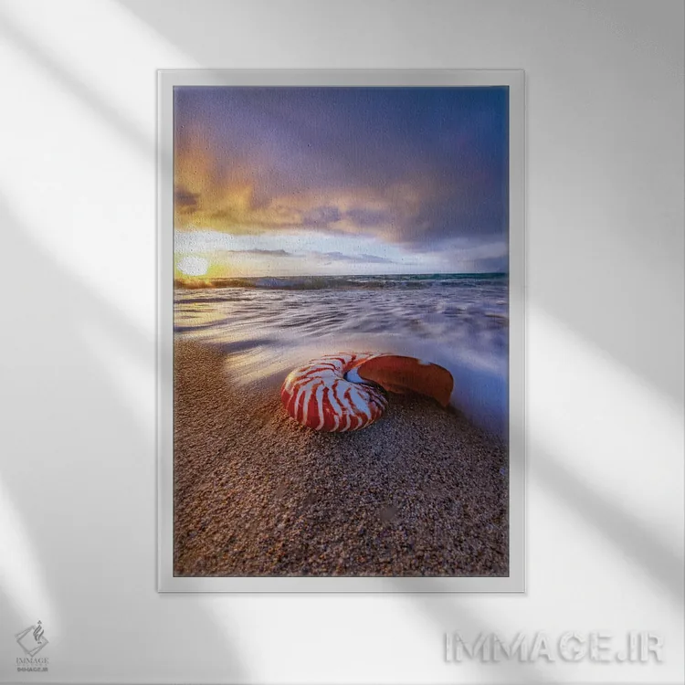 تابلو دکوراتیو اختاپوس ببر اثر شان دیوی - نمای قابدار سفید