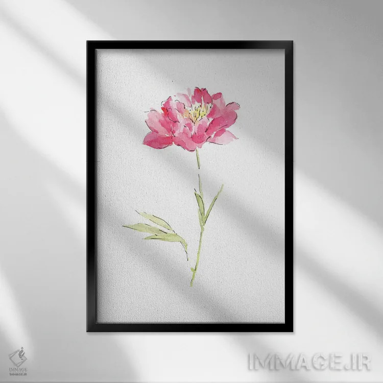 تابلو دکوراتیو گل صدتومانی صورتی اثر ملیسا سلمین - نمای قابدار مشکی