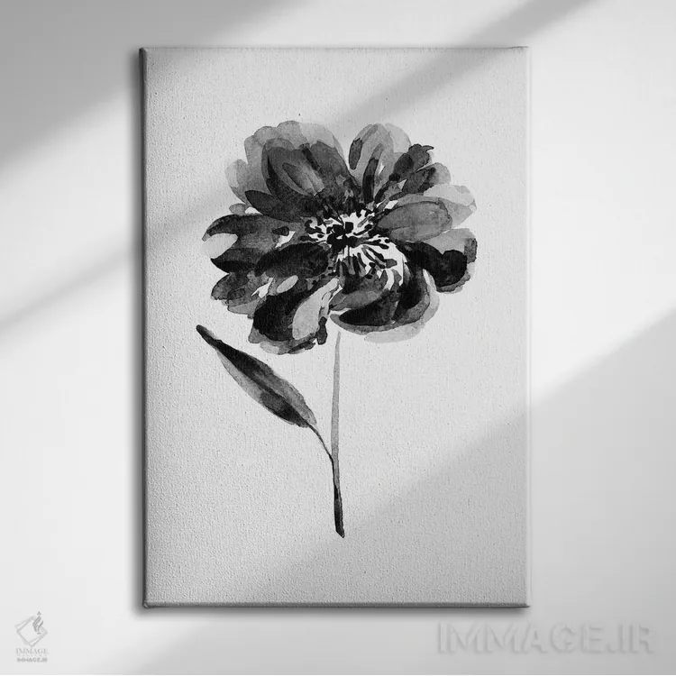 تابلو دکوراتیو گل صدتومانی سیاه اثر ملیسا سلمین - نمای روبهرو روی دیوار