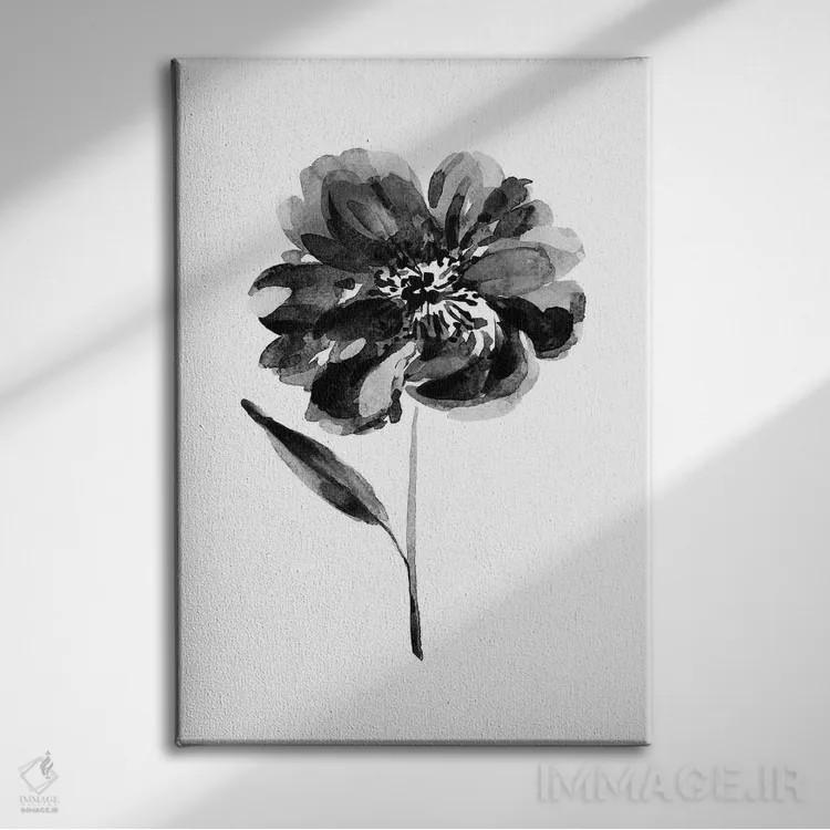 تابلو دکوراتیو گل صدتومانی سیاه اثر ملیسا سلمین - نمای روبهرو روی دیوار