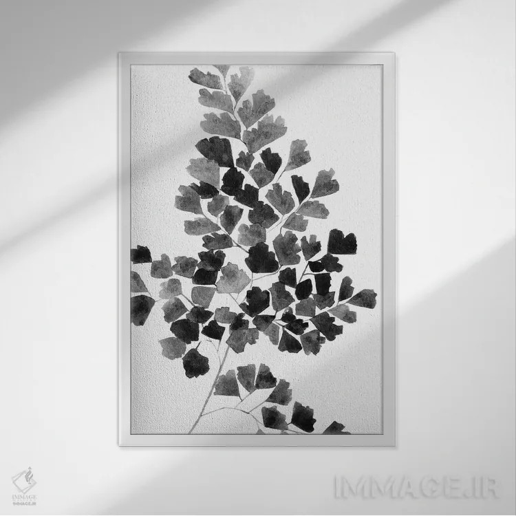 تابلو دکوراتیو سرخس سیاه اثر ملیسا سلمین - نمای قابدار سفید