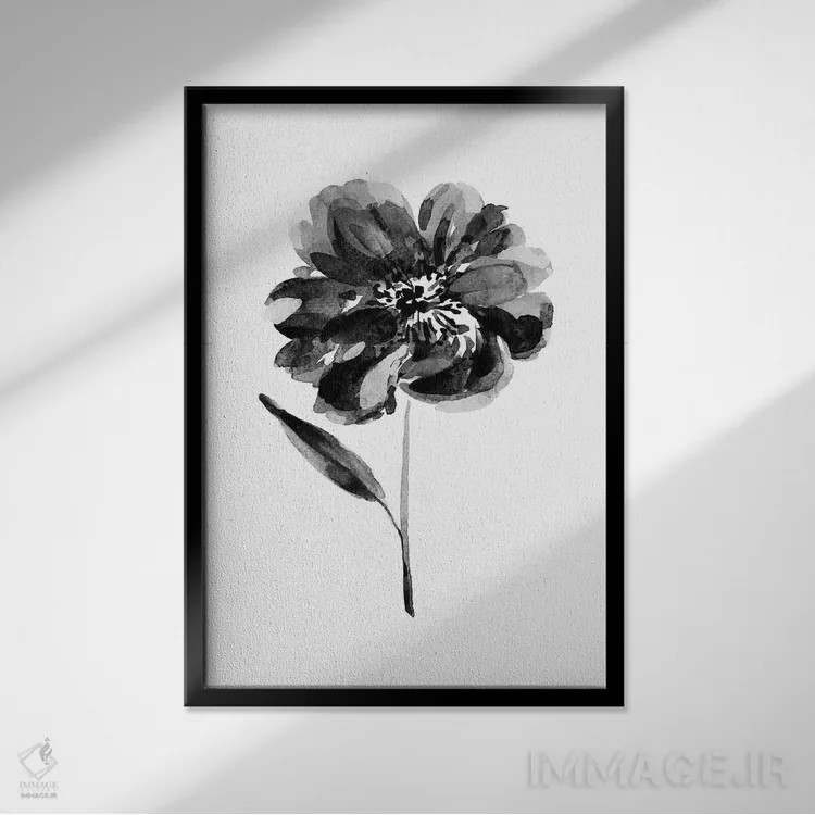 تابلو دکوراتیو گل صدتومانی سیاه اثر ملیسا سلمین - نمای قابدار مشکی