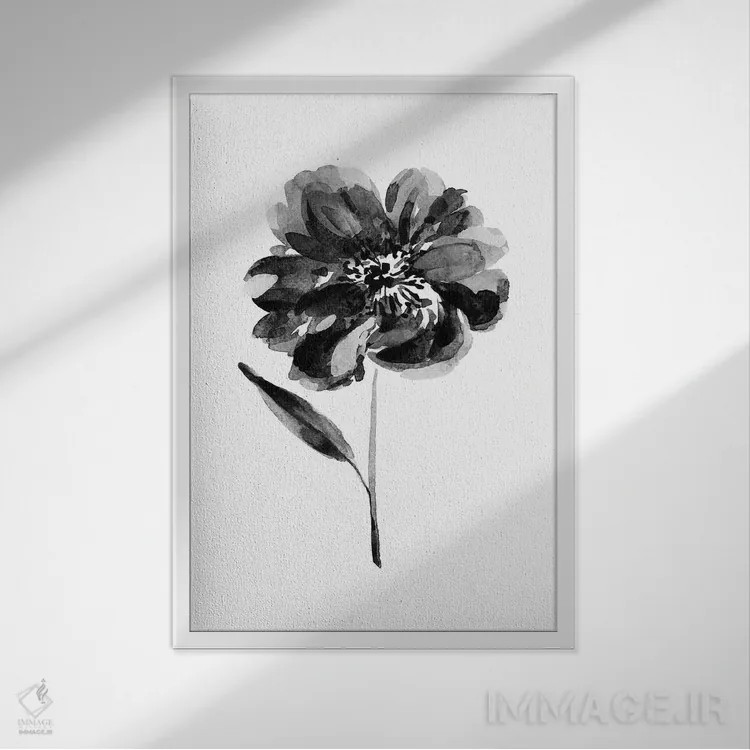 تابلو دکوراتیو گل صدتومانی سیاه اثر ملیسا سلمین - نمای قابدار سفید