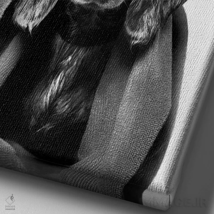 تابلو دکوراتیو Anthony With Towel, Black & White,سگ خیس، آنتونی با حوله، سی… اثر سوفی گامان - نمای نزدیک بافت بوم