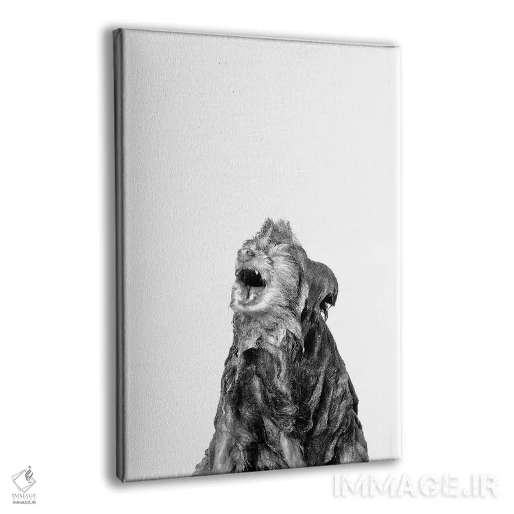 تابلو دکوراتیو Chelsea, Black & White,سگ خیس، چلسی اثر سوفی گامان - نمای پرسپکتیو محصول
