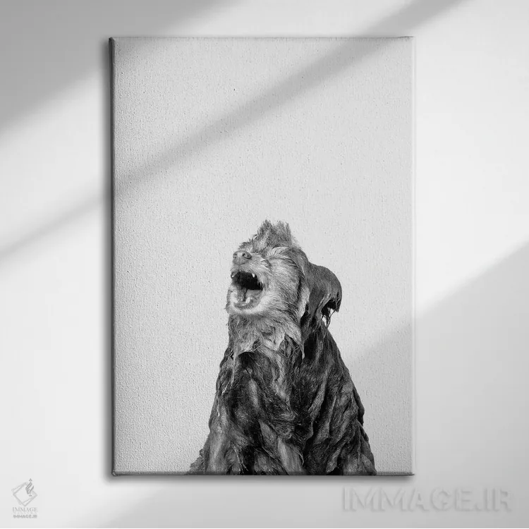تابلو دکوراتیو Chelsea, Black & White,سگ خیس، چلسی اثر سوفی گامان - نمای روبهرو روی دیوار