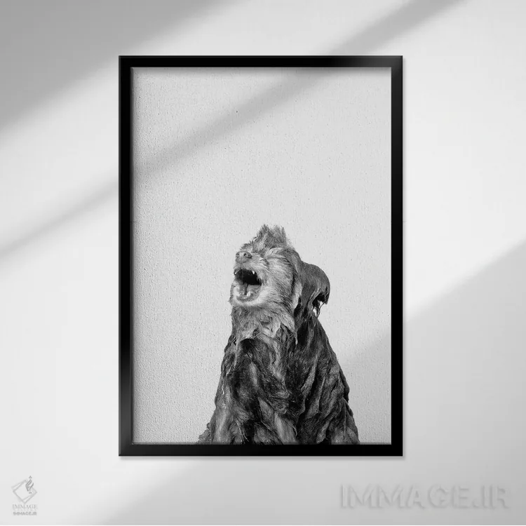 تابلو دکوراتیو Chelsea, Black & White,سگ خیس، چلسی اثر سوفی گامان - نمای قابدار مشکی