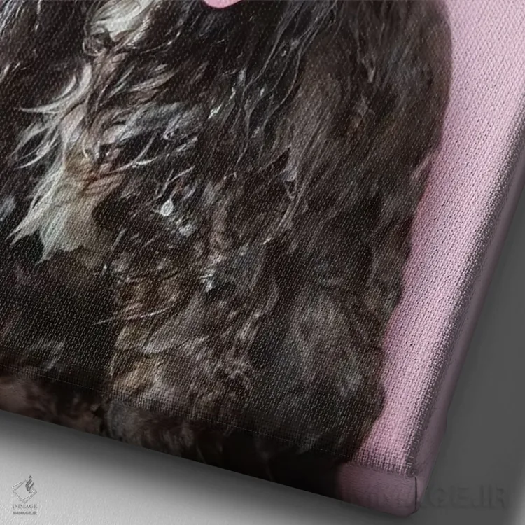 تابلو دکوراتیو Harvey,سگ خیس، هاروی اثر سوفی گامان - نمای نزدیک بافت بوم