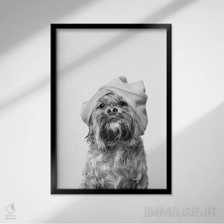 تابلو دکوراتیو Joey, Black & White,سگ خیس، جویی اثر سوفی گامان - نمای قابدار مشکی