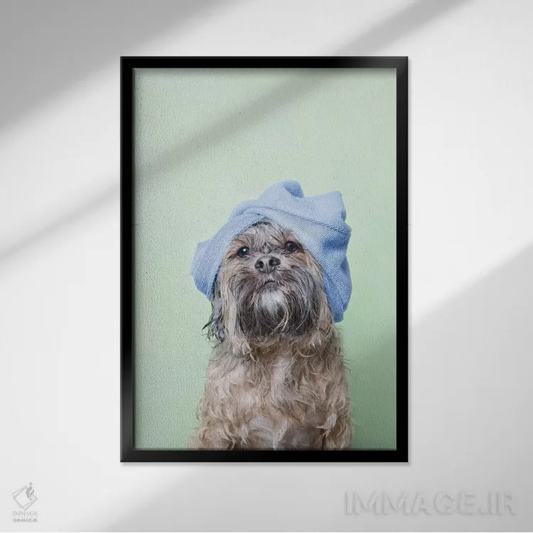 تابلو دکوراتیو Joey With Towel,سگ خیس، جویی با حوله اثر سوفی گامان - نمای قابدار مشکی