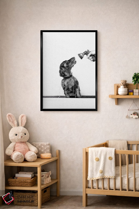 تابلو دکوراتیو Anthony, Black & White,سگ خیس، آنتونی، سیاه و سفید اثر سوفی گامان - D6B