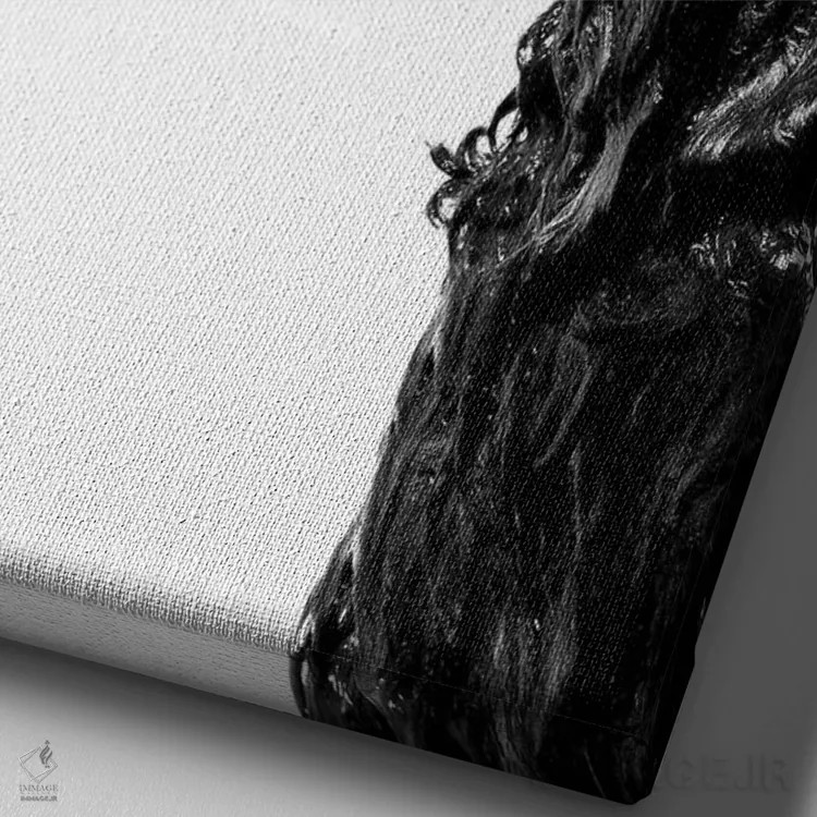 تابلو دکوراتیو Rerun, Black & White,سگ خیس، ری ران اثر سوفی گامان - نمای نزدیک بافت بوم