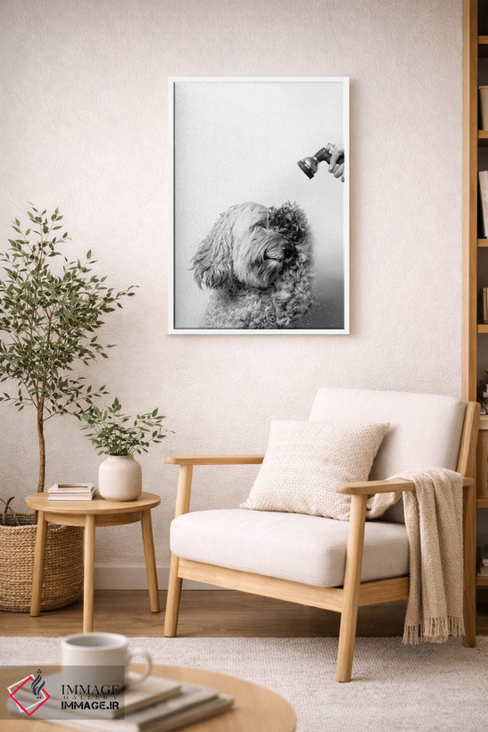 تابلو دکوراتیو Lelu, Black & White,سگ خیس، للو اثر سوفی گامان - D6W