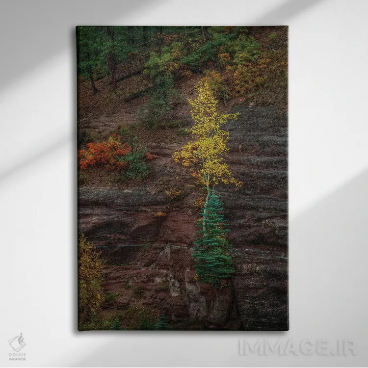 تابلو دکوراتیو استقامت زیبا اثر بیل شرل - نمای روبهرو روی دیوار