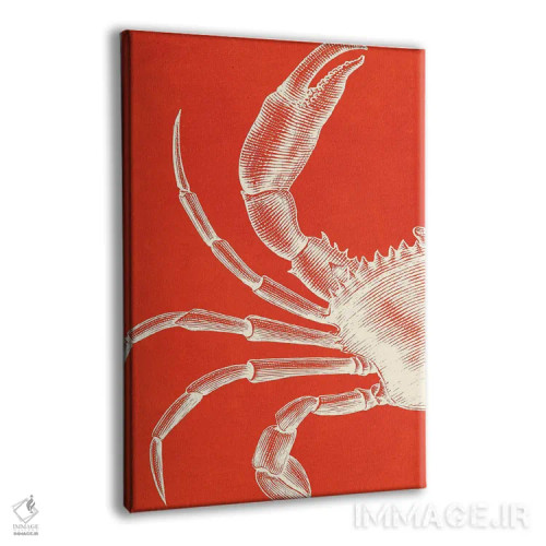 تابلو دکوراتیو خرچنگ روی مرجان اثر ژانیا شاریپژانوا - نمای پرسپکتیو محصول