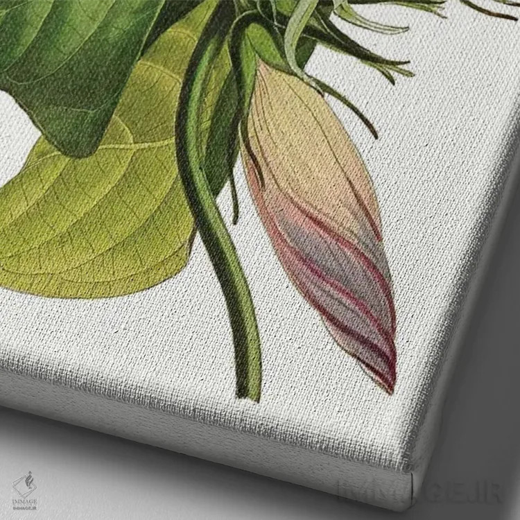 تابلو دکوراتیو طرح گل های پکستون I اثر سر جوزف پاکستون - نمای نزدیک بافت بوم