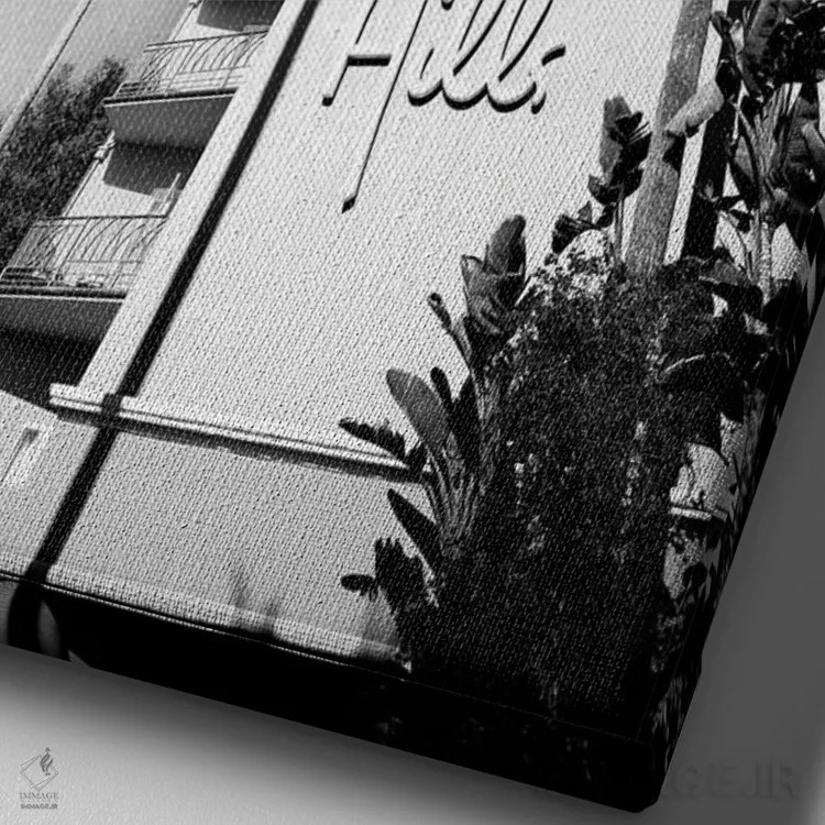 تابلو دکوراتیو بیورلی هیلز نوآر اثر سوزانه کرمر - نمای نزدیک بافت بوم
