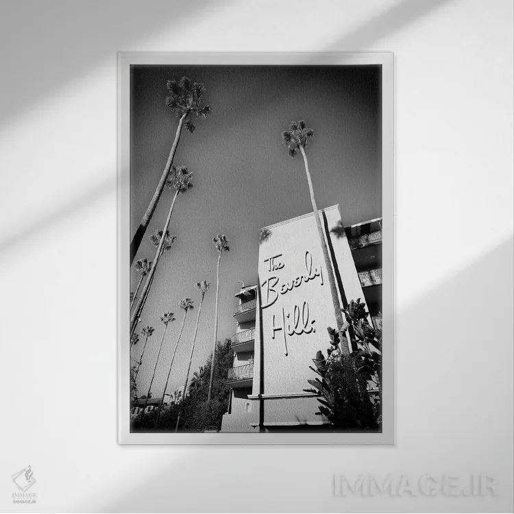 تابلو دکوراتیو بیورلی هیلز نوآر اثر سوزانه کرمر - نمای قابدار سفید