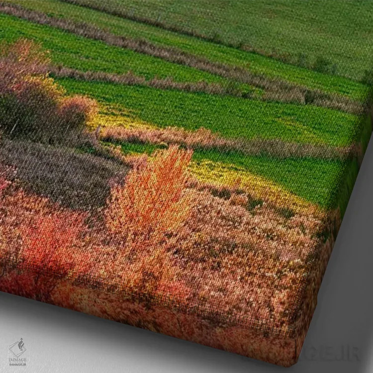 تابلو دکوراتیو غروب گرتن اثر سوزانه کرمر - نمای نزدیک بافت بوم