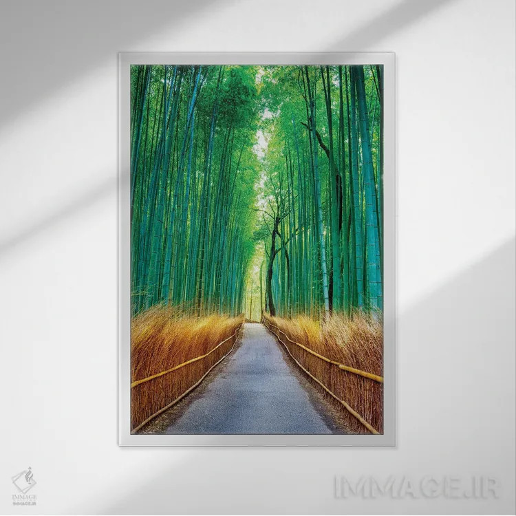 تابلو دکوراتیو Kyoto, Japan,جنگل بامبوی آراشی یاما، کیوتو، ژاپن اثر سوزانه کرمر - نمای قابدار سفید