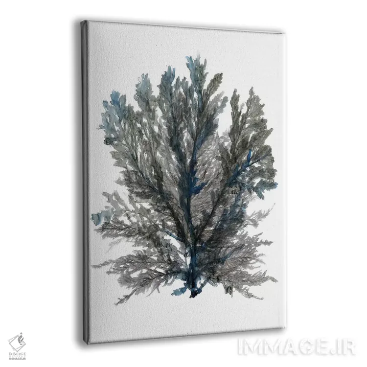 تابلو دکوراتیو شکوفه اقیانوسی III اثر استودیو طراحی استلار - نمای پرسپکتیو محصول
