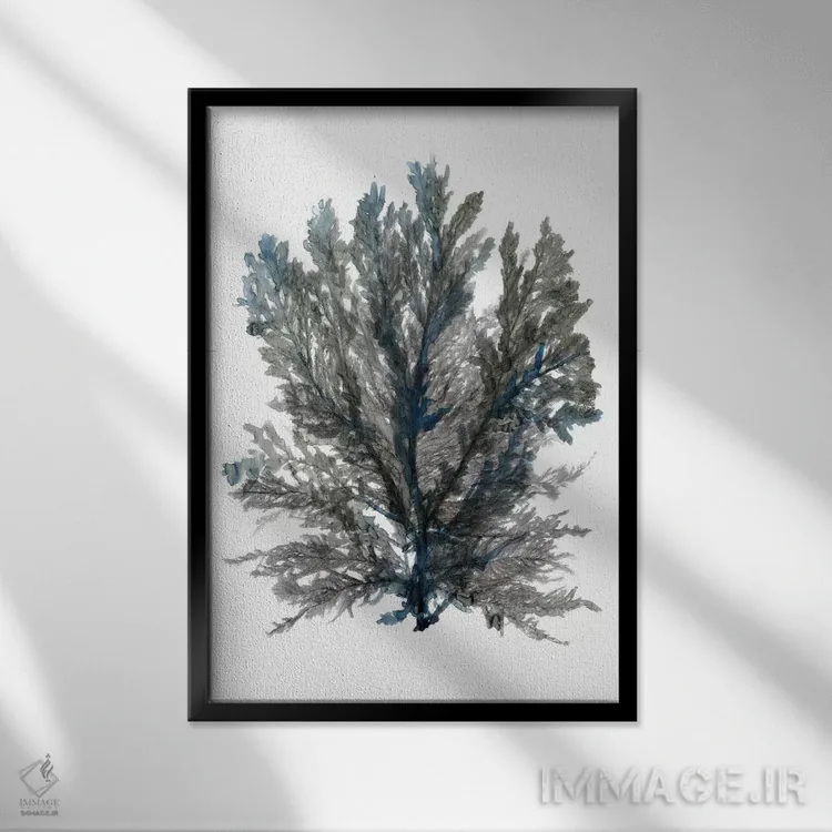تابلو دکوراتیو شکوفه اقیانوسی III اثر استودیو طراحی استلار - نمای قابدار مشکی