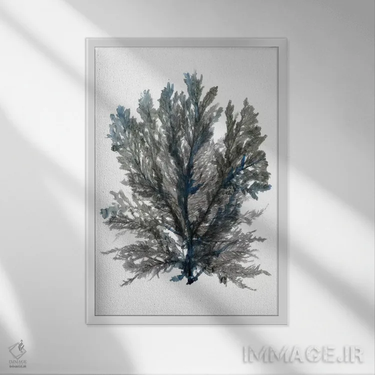 تابلو دکوراتیو شکوفه اقیانوسی III اثر استودیو طراحی استلار - نمای قابدار سفید