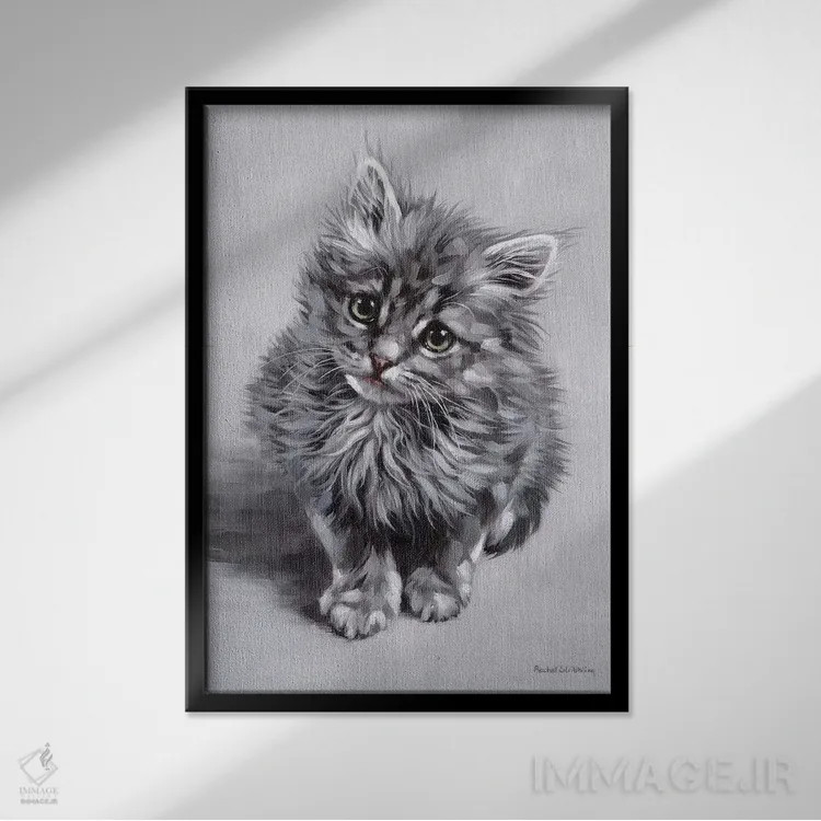 تابلو دکوراتیو مینی اثر ریچل استریبلینگ - نمای قابدار مشکی