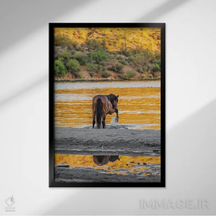 تابلو دکوراتیو اسب وحشی آریزونا در حال بازی در آب اثر سوزان ریچی - نمای قابدار مشکی