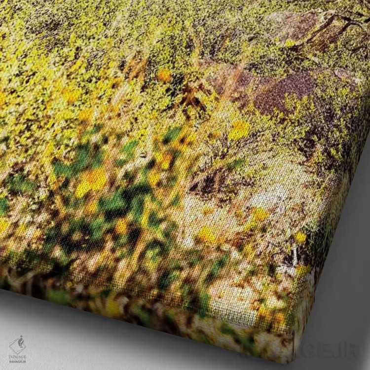 تابلو دکوراتیو کویر فونیکس آریزونا با کاکتوس ساگوارو و نمای شهر اثر سوزان ریچی - نمای نزدیک بافت بوم