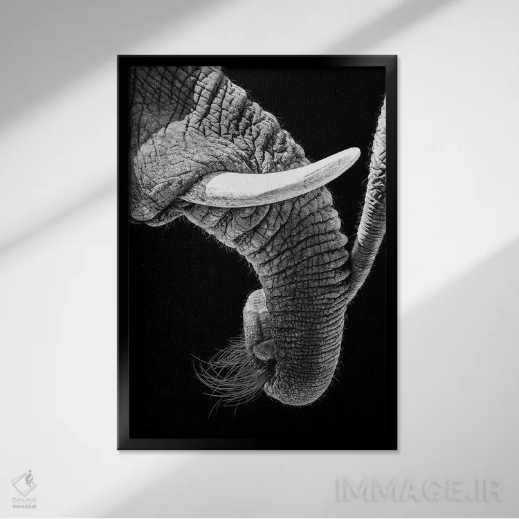تابلو دکوراتیو صمیمیت خانوادگی فیل های آفریقایی اثر سوزان ریچی - نمای قابدار مشکی