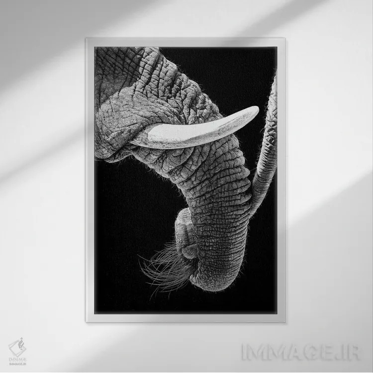 تابلو دکوراتیو صمیمیت خانوادگی فیل های آفریقایی اثر سوزان ریچی - نمای قابدار سفید