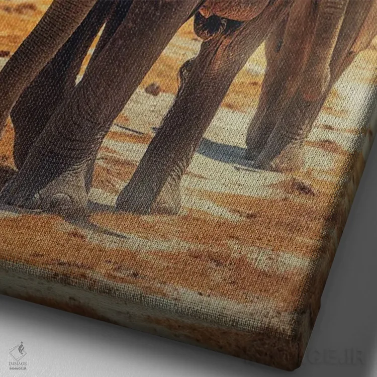 تابلو دکوراتیو آمبوسلی سرزمین فیل ها اثر سوزان ریچی - نمای نزدیک بافت بوم