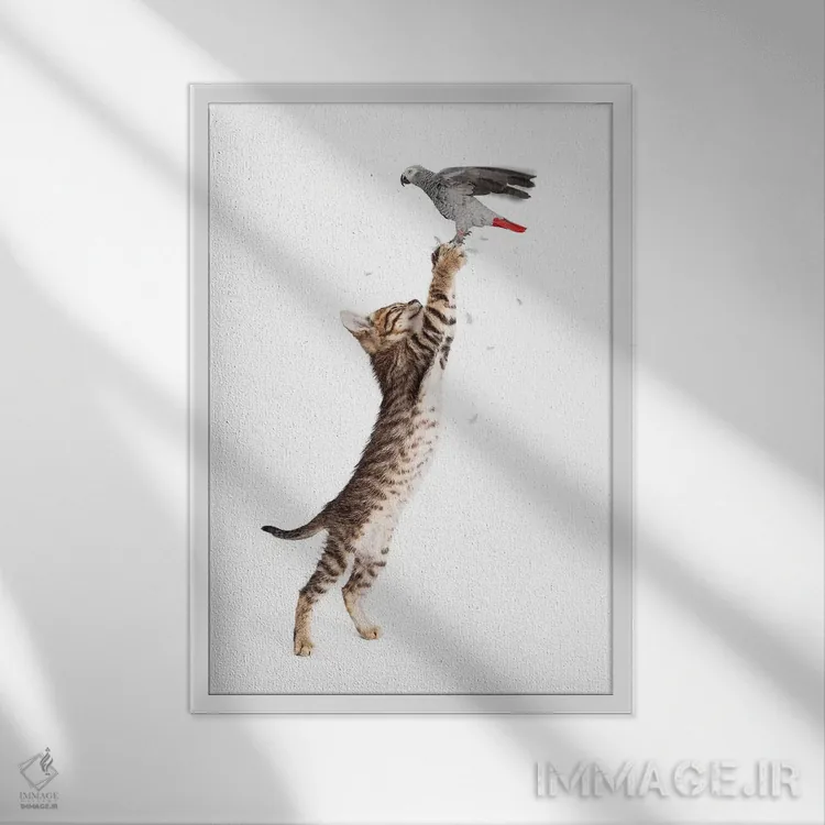 تابلو دکوراتیو گربه در حال شکار پرنده پروازکننده اثر سوزان ریچی - نمای قابدار سفید