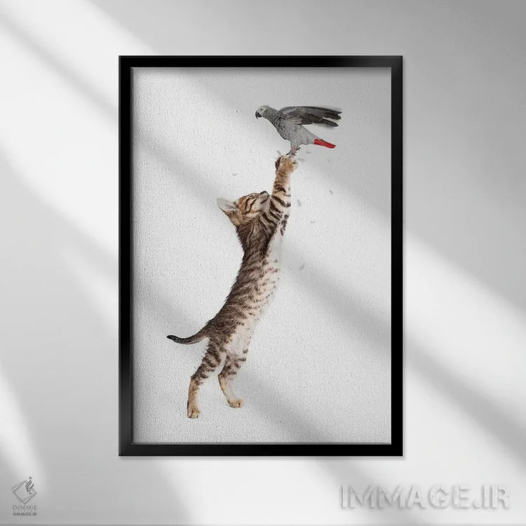 تابلو دکوراتیو گربه در حال شکار پرنده پروازکننده اثر سوزان ریچی - نمای قابدار مشکی