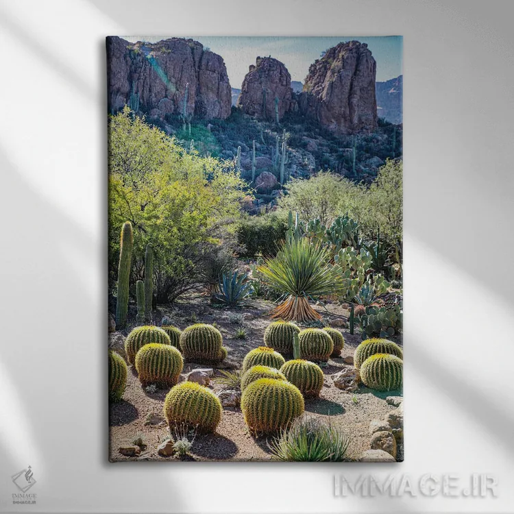 تابلو دکوراتیو USA Saguaro Cactus,آریزونا، آمریکا. کاکتوس ساگوارو اثر جولی سیندا - نمای روبهرو روی دیوار