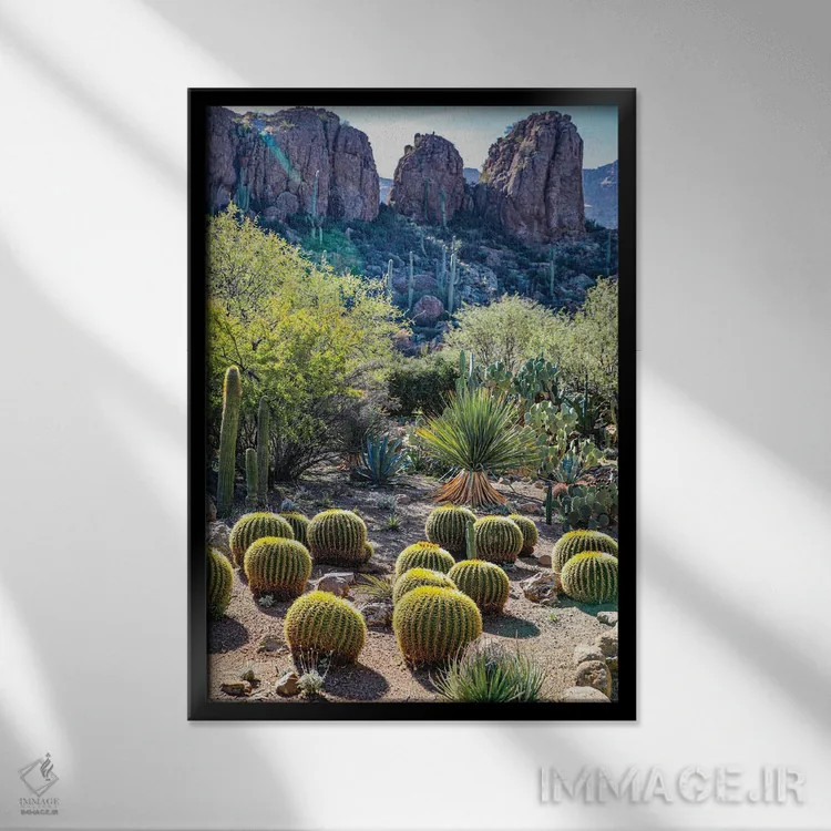 تابلو دکوراتیو USA Saguaro Cactus,آریزونا، آمریکا. کاکتوس ساگوارو اثر جولی سیندا - نمای قابدار مشکی