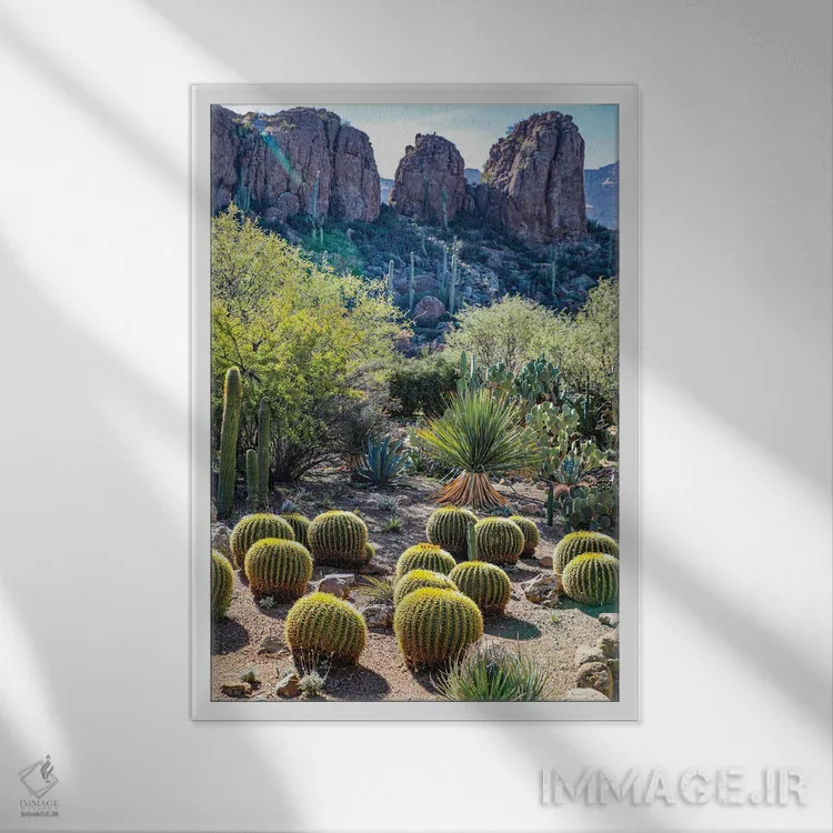 تابلو دکوراتیو USA Saguaro Cactus,آریزونا، آمریکا. کاکتوس ساگوارو اثر جولی سیندا - نمای قابدار سفید
